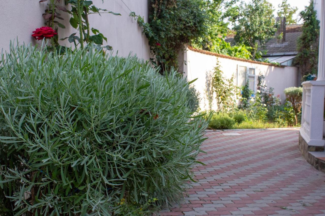 Yox Apartment 1 Oradea Zewnętrze zdjęcie